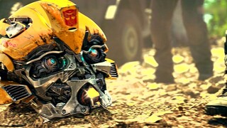 Bumblebee: Tôi đã nâng cấp, ngay cả khi tôi sụp đổ, tôi không sợ