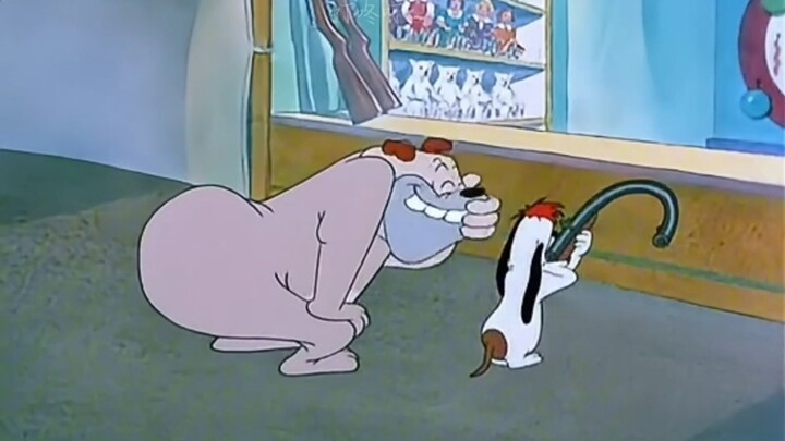 【Ding Dong Ding___】Video sedang dimuat, lihat kejutannya!