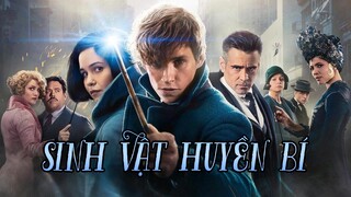 NGƯỜI SỞ HỮU NHIỀU CHIM HƠN HARRY POTTER | Recap Xàm #145: Fantastic Beasts And Where To Find Them