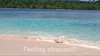 Feeling stressed?