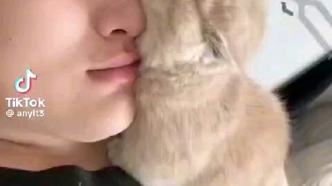 v đề tôi muốn