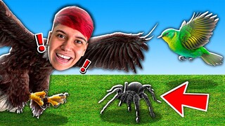 VIDA DE PASSARINHO POR 1 DIA NO ROBLOX!! (Bird Simulator 🦜)