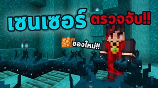 เซนเซอร์ใหม่มายคราฟ 1.17 (20w49a)