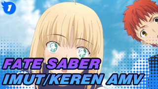 Dia Sangat Imut! | Fate/Saber AMV Imut/Keren_1