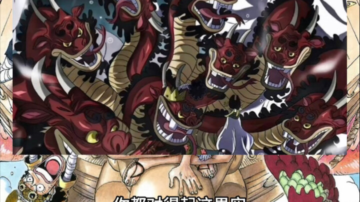 海贼王被玩废了的十大神级果实