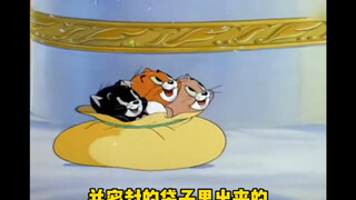 你们有看过这集猫和老鼠吗？可以不爱，请别伤害！