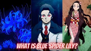 What is Blue Spider Lily | Demon Slayer