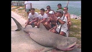 South Beach Shark Club: Legends and Lore of the South Florida Shark Huntersb -Watch full movie: Link