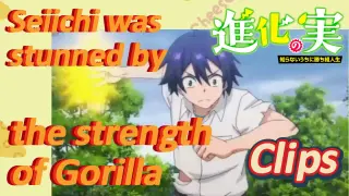 [The Fruit of Evolution]Clips |  Seiichi was stunned by the strength of Gorilla