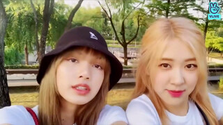 [Chaelisa] Seberapa Besar LISA Mengagumi Kecantikan ROSE?