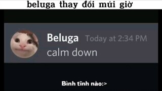 beluga thay đổi múi giờ