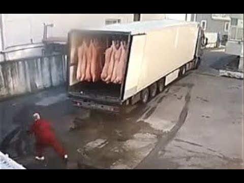 IDIOTS AT WORK #2