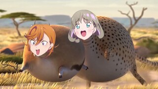 【LoveLive!】 Kamu sangat imut, jangan kabur!