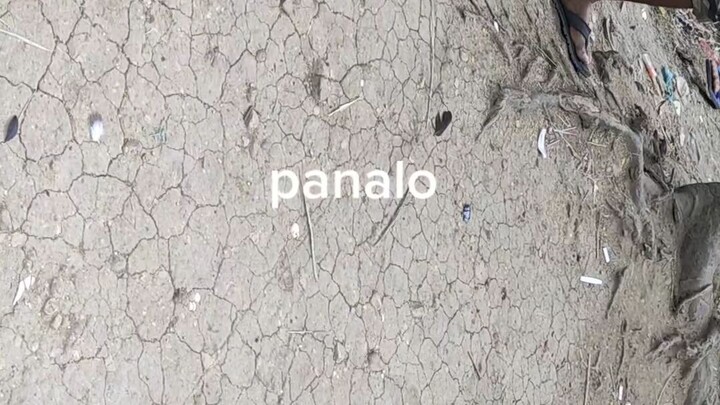 panalo