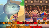 เกาะหายากที่มีแต่ปลาฉลามทั้งเกาะ แมวไม่ได้รับเชิญที่กวนที่สุด Animal Crossing