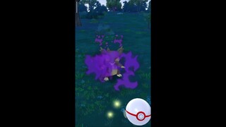 Pokémon GO-Shadow Alolan Rattata