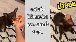 ถ้าจะทำกันแบบนี้ ไม่ต้องแบ่งให้ก็ได้ 5555 รวมคลิปฮาพากย์ไทย