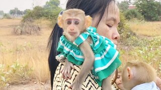 Very Cute Princes Maya Wear New Dress Hangout With Monkey Zono And Grandma