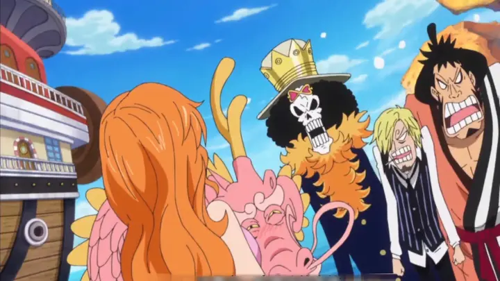 Inventory of the 8 classic famous terriers of One Piece