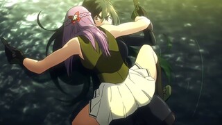 Top 11 School/fantasy/Romance/Harem anime You MUST See