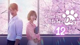 🇰🇷EP.12 | A GoodDay To Be A Dog (2023) [Eng Sub]