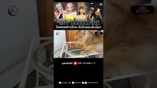 สัตว์เลี้ยงของลิซ่า 🐱🐶 | #โอติ่ง  #LISA #BLACKPINK