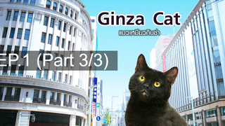 แนะนำ 😍 GINZA CAT แมวเหมียวกินซ่า ⭐ พากย์ไทย EP1_3