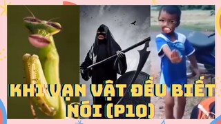 Khi vạn vật đều biết nói sẽ ra sao ? (P10) |  Tổng hợp Tiktok Việt Nam | Viral Tiktok