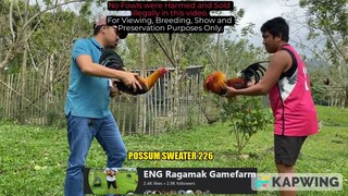 POSSUM SWEATER 226 || ENG Ragamak GF