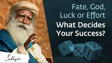 Fate, God, Luck or Effort What Decides Your Success_ _ Sadhguru