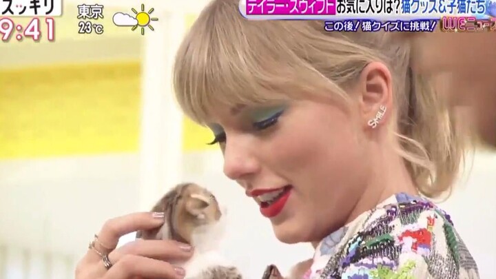 Taylor Swift và chú mèo nhỏ đáng yêu