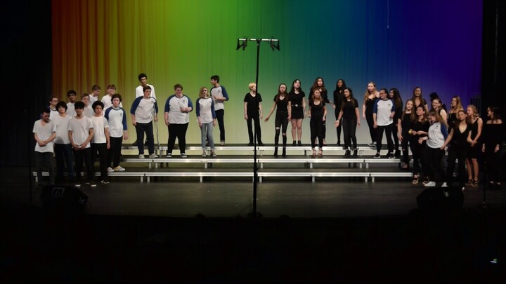 SLHS Combined A Cappella Groups - Disney Medley