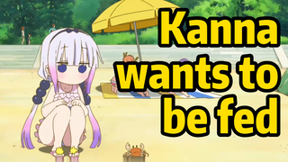 Kanna wants to be fed