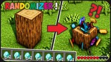 Minecraft Tapi Setiap Block Dropnya Acak ! || Minecraft Randomizer Indonesia