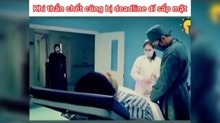 Đến thần chết cũng phải chạy deadline