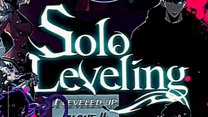 SOLO LEVELING 😉