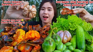 MUKBANG LALAPAN MENTAH TANPA NASI, LALAPAN BAWANG PUTIH PETE MENTAH KECIPIR,KERANG SAUS PADANG