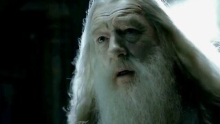 【HP|Draco】I was born with thorns, but I also bloom freely