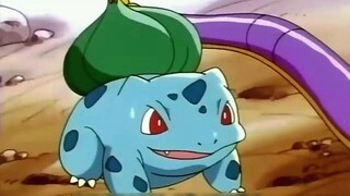 [Pokémon]Kehidupan sehari-hari Squirtle dan Bulbasaur