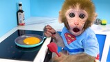 Baby Monkey Bon Bon washes clothes in the toilet and plays with duckling in the garden with puppy