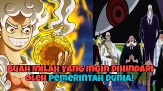 Ternyata Inilah Buah Iblis Yang DiMakan Oleh Luffy!!