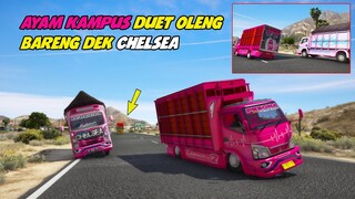 TRUK AYAM KAMPUS OLENG BARENG SAMA TRUK DEK CHELSEA