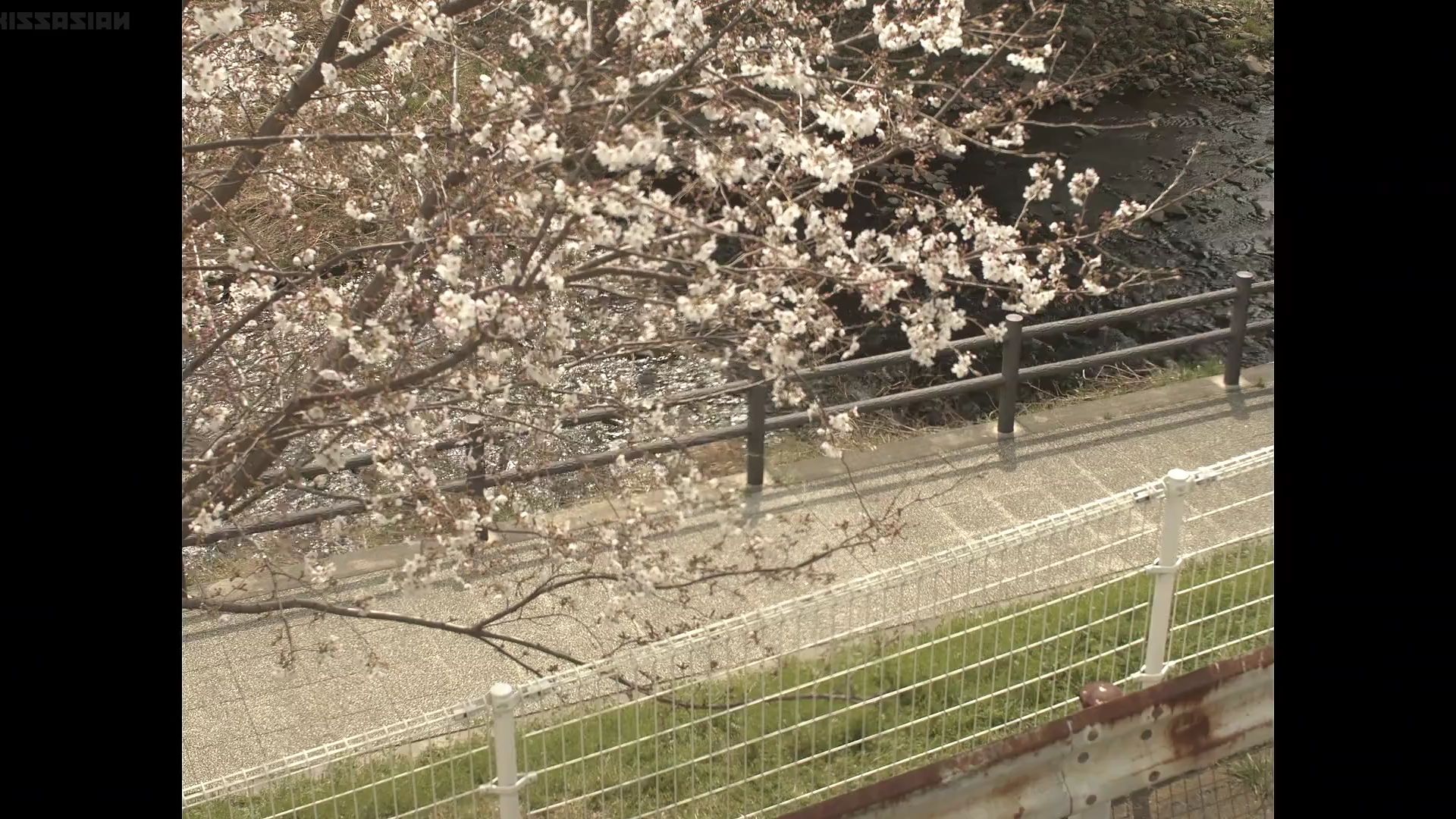 Eps 1] Kaguya-Sama: Love is War Mini Live Action [1080p] - BiliBili