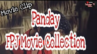 Movie Clip | FPJ MOVIE COLLECTION