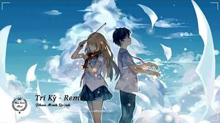 Tri Kỷ - Remix - Phan Mạnh Quỳnh - Tik Tok Mixchill Gây Nghiện