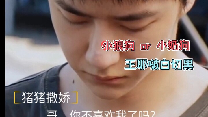 只要能得到哥哥，装绿茶也不是不行