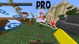 A Normal Game of (Skywars)