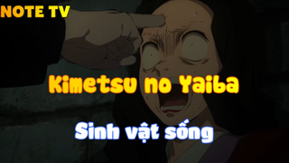 Kimetsu no Yaiba_Sinh vật sống