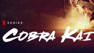 Cobra Kai Season 3 Episode 10 In Hindi Dub