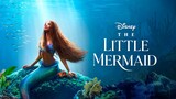The Little Mermaid - Watch Full Movie : Link link ln Description